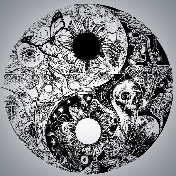 dualismi-federica-rovati-twitter